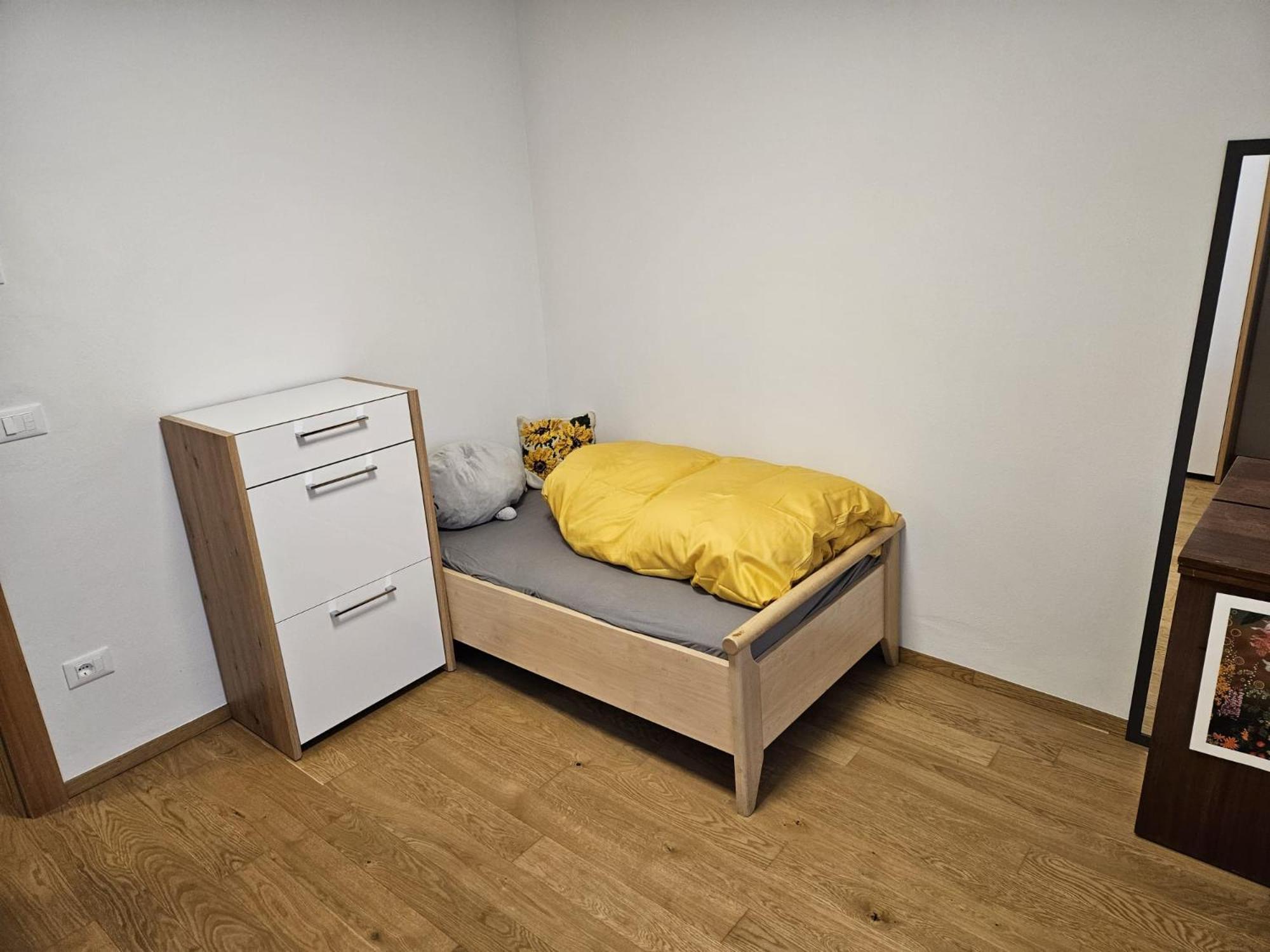 Judith Apartment Trodena